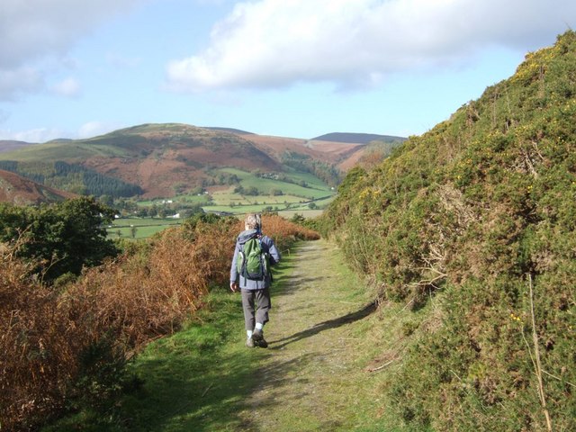 Clwydian Way - geograph.org.uk - 1023558