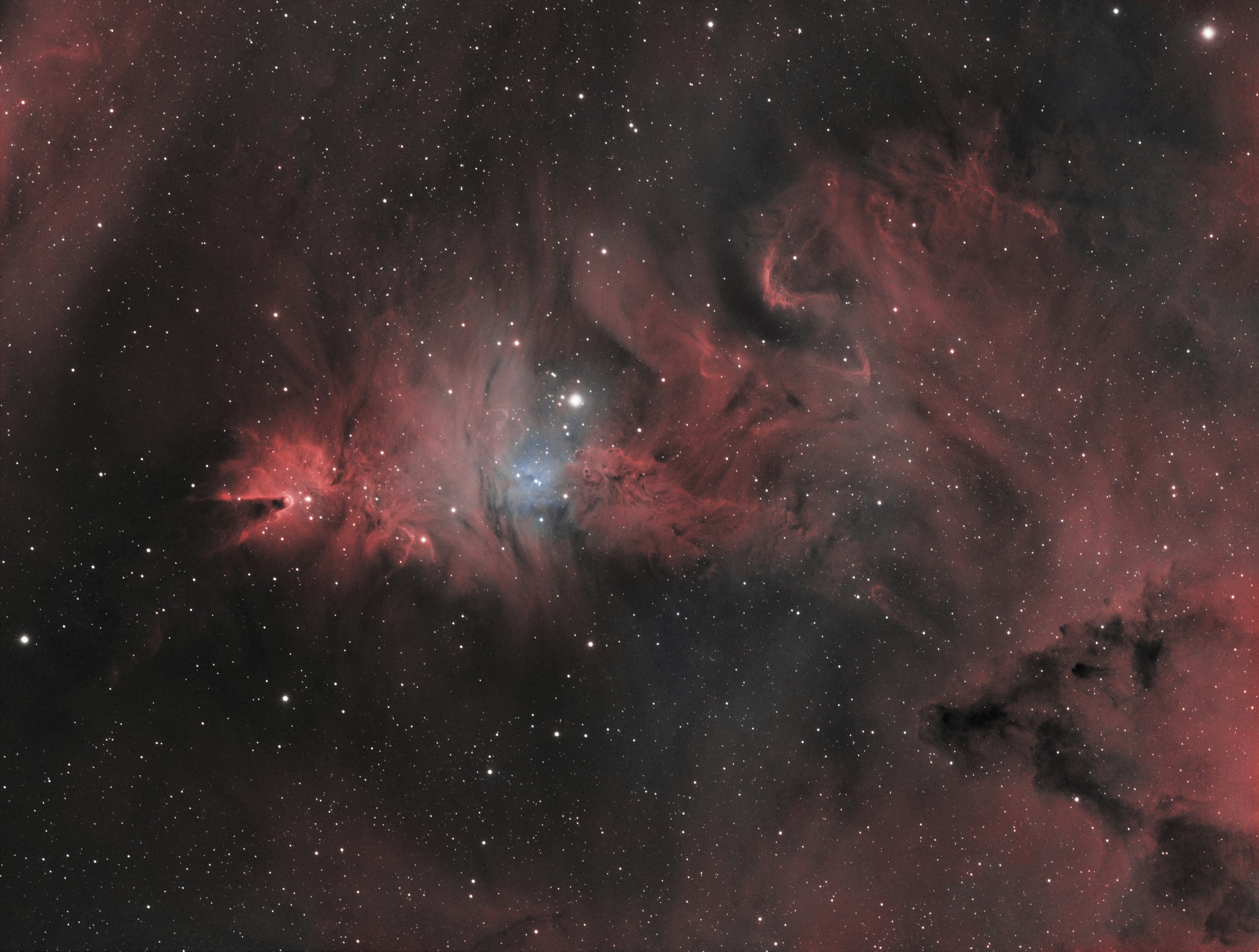 cone nebula galaxy