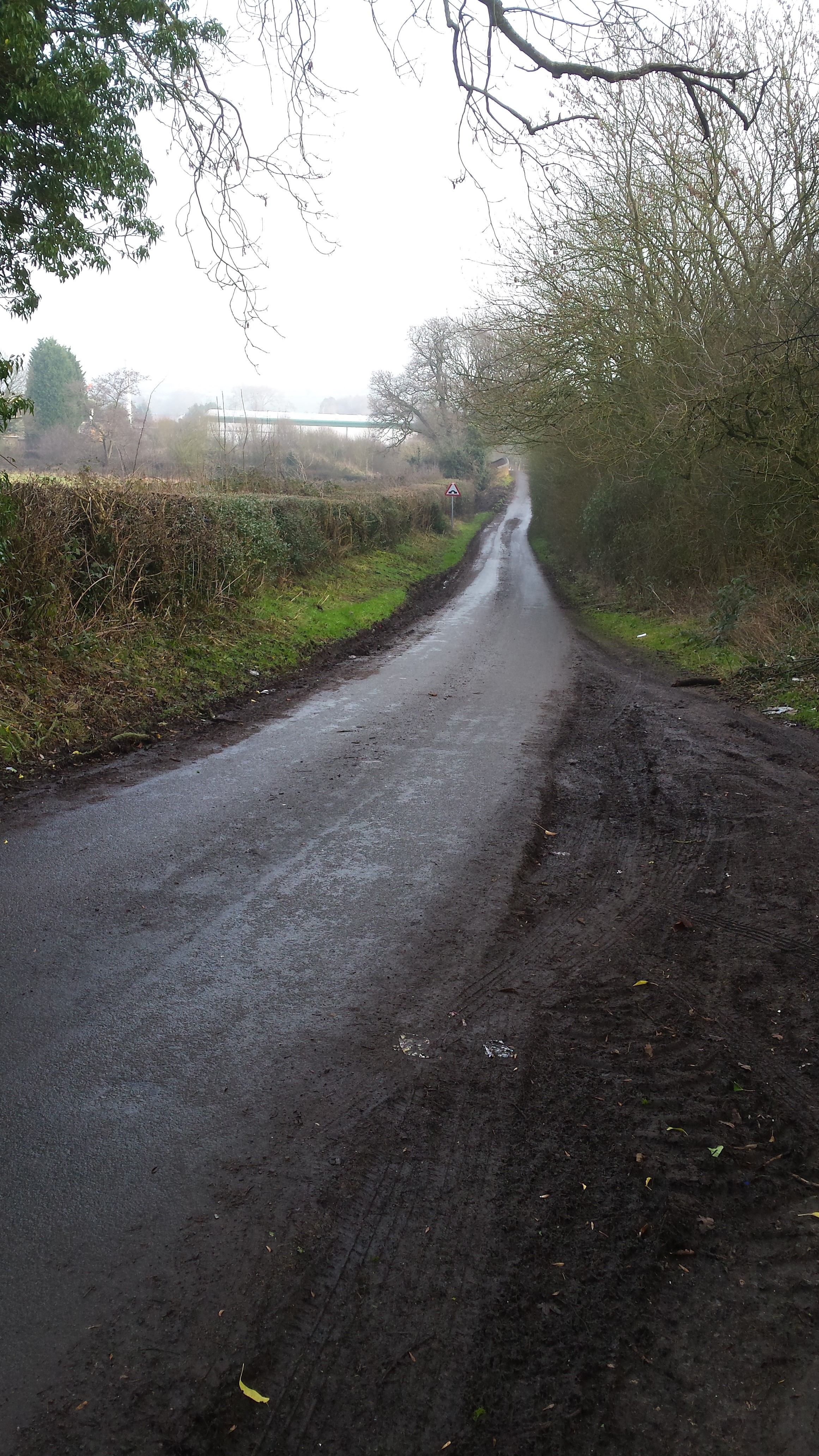 File:Country lane - geograph.org.uk - 5281088.jpg - Wikimedia Commons