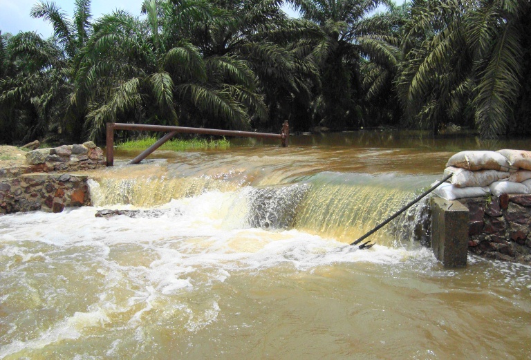 File:Di tepi sungai (42).JPG