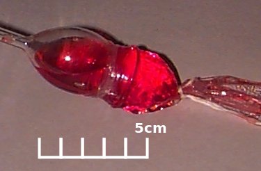 dialysis tubing diffusion