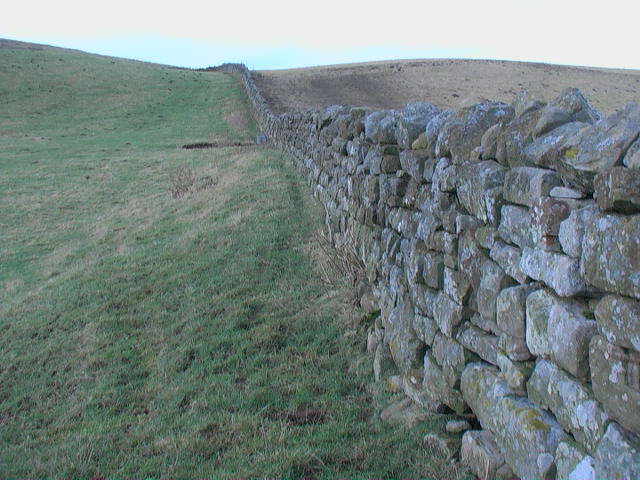 File:Drystone wall near Harehope - geograph.org.uk - 1123240.jpg