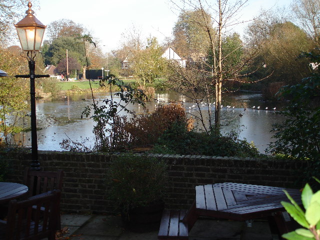 Duck pond on Stamford Green, Epsom Common - geograph.org.uk - 82250