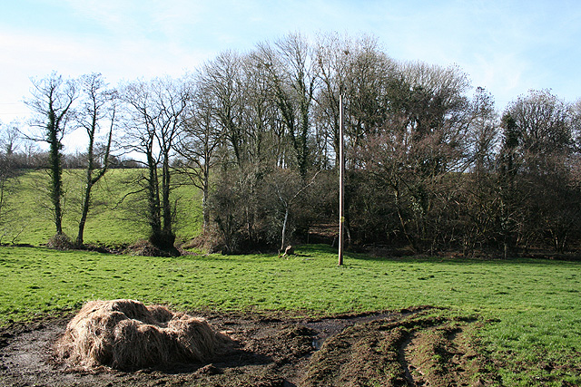 File:Exbourne, near Lower Narracott - geograph.org.uk - 329541.jpg