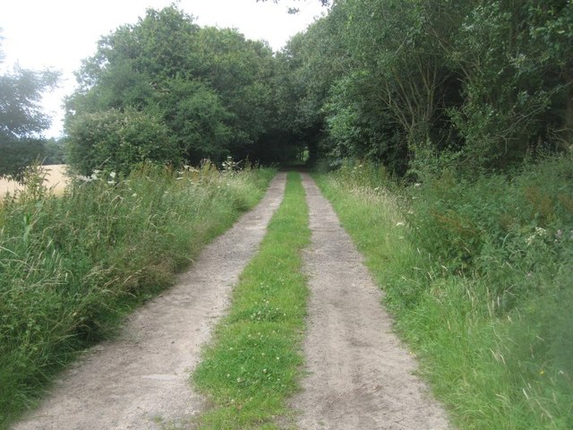 File:Farm track to Turgis Court Farm - geograph.org.uk - 4089899.jpg