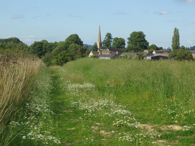 File:Farm track with Mayweed - geograph.org.uk - 1415744.jpg