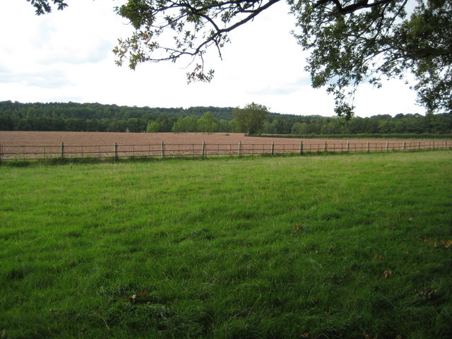 File:Farmland at St Devereux - geograph.org.uk - 2078699.jpg