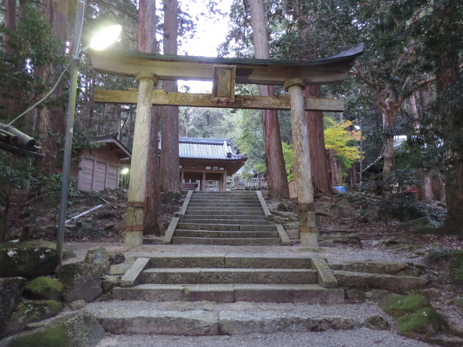 藤切神社 Wikipedia