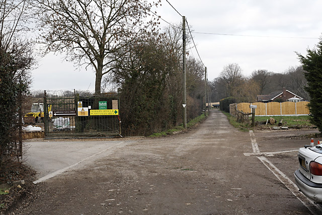 File:Hambrooks Nurseries and footpath from Wangfield Lane to Durley Mill - geograph.org.uk - 325731.jpg
