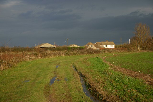 File:Horse Fen Drove - geograph.org.uk - 293109.jpg