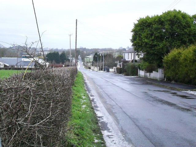 File:Killultagh Road, Ballynadolly - geograph.org.uk - 1633621.jpg