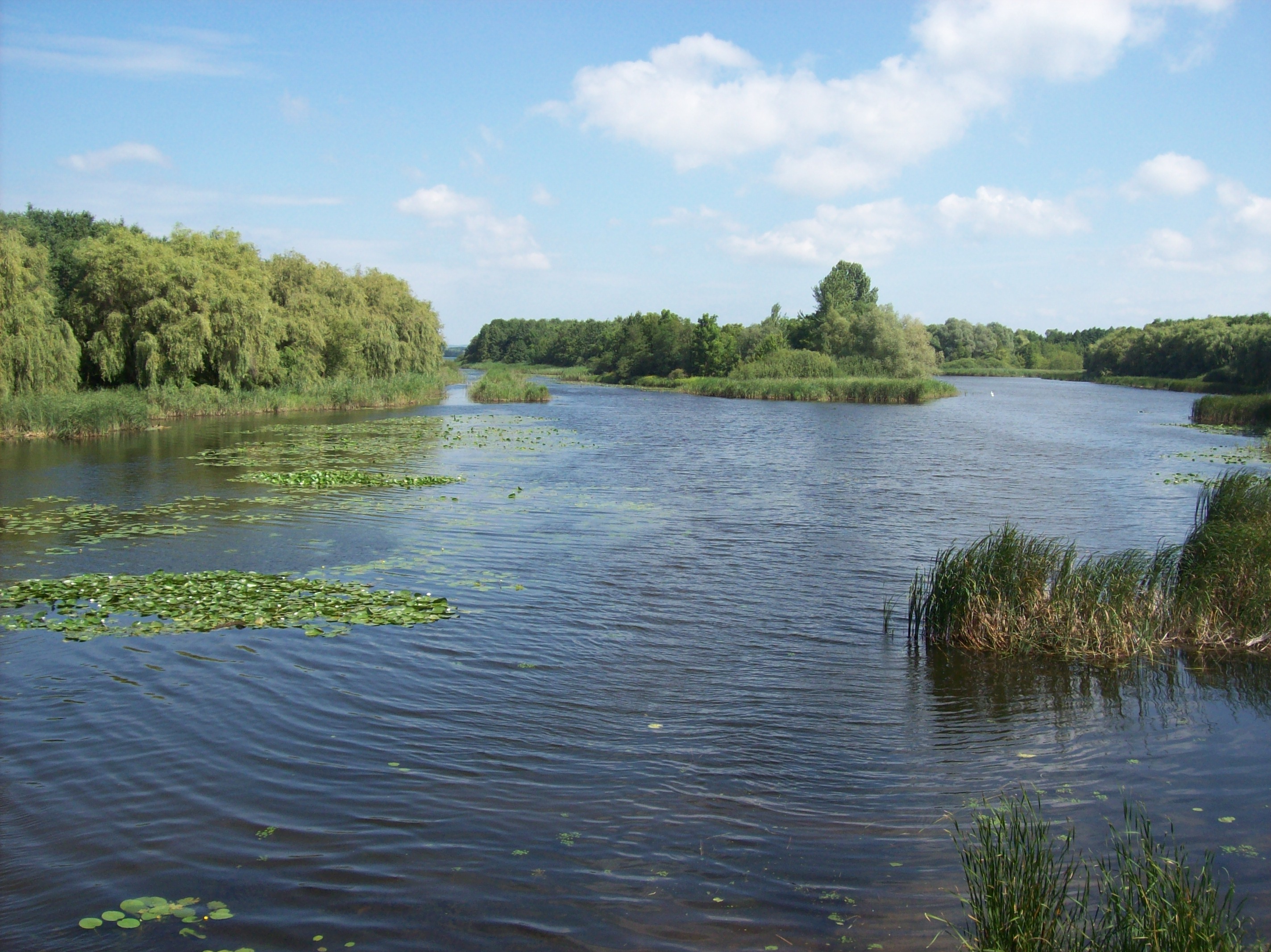 kis balaton horgászat 10