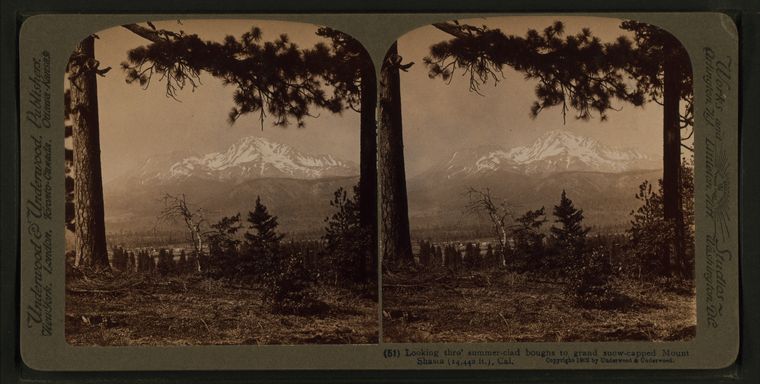 File:Looking thro' summer-clad boughs to grand snow-capped Mount Shasta (14,442 ft.), Cal, by Underwood & Underwood 2.jpg