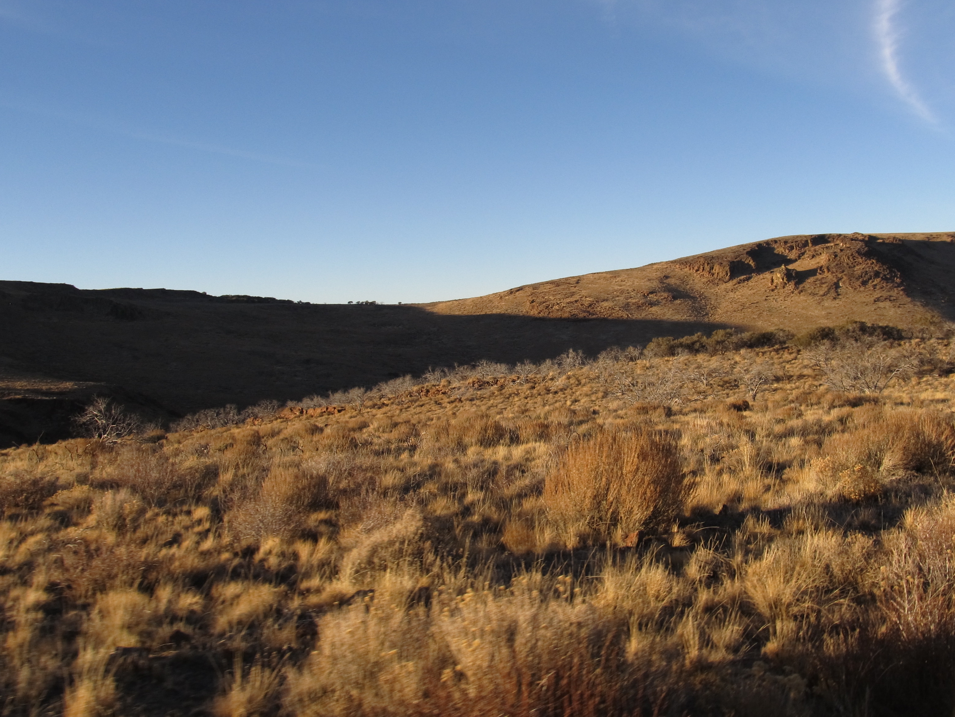 Nevada Wildlife, Wildlife Refuges in Nevada