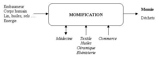 MomificationFilièreTechnique.gif