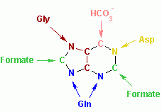 File:Nucleotides syn3.png
