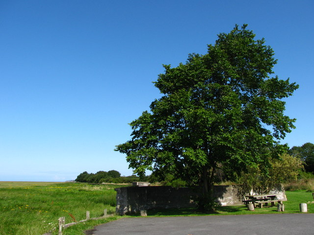 Parking and Picnic Site, Gayton Sands Nature Reserve - geograph.org.uk - 1431646