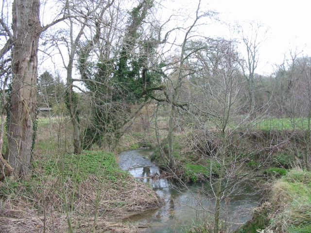 File:River Brit near Oxbridge - geograph.org.uk - 94119.jpg