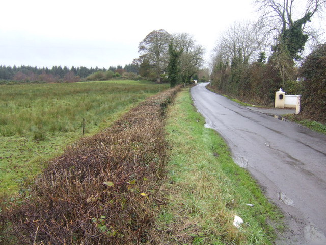 File:Road to Greetiagh - geograph.org.uk - 624148.jpg