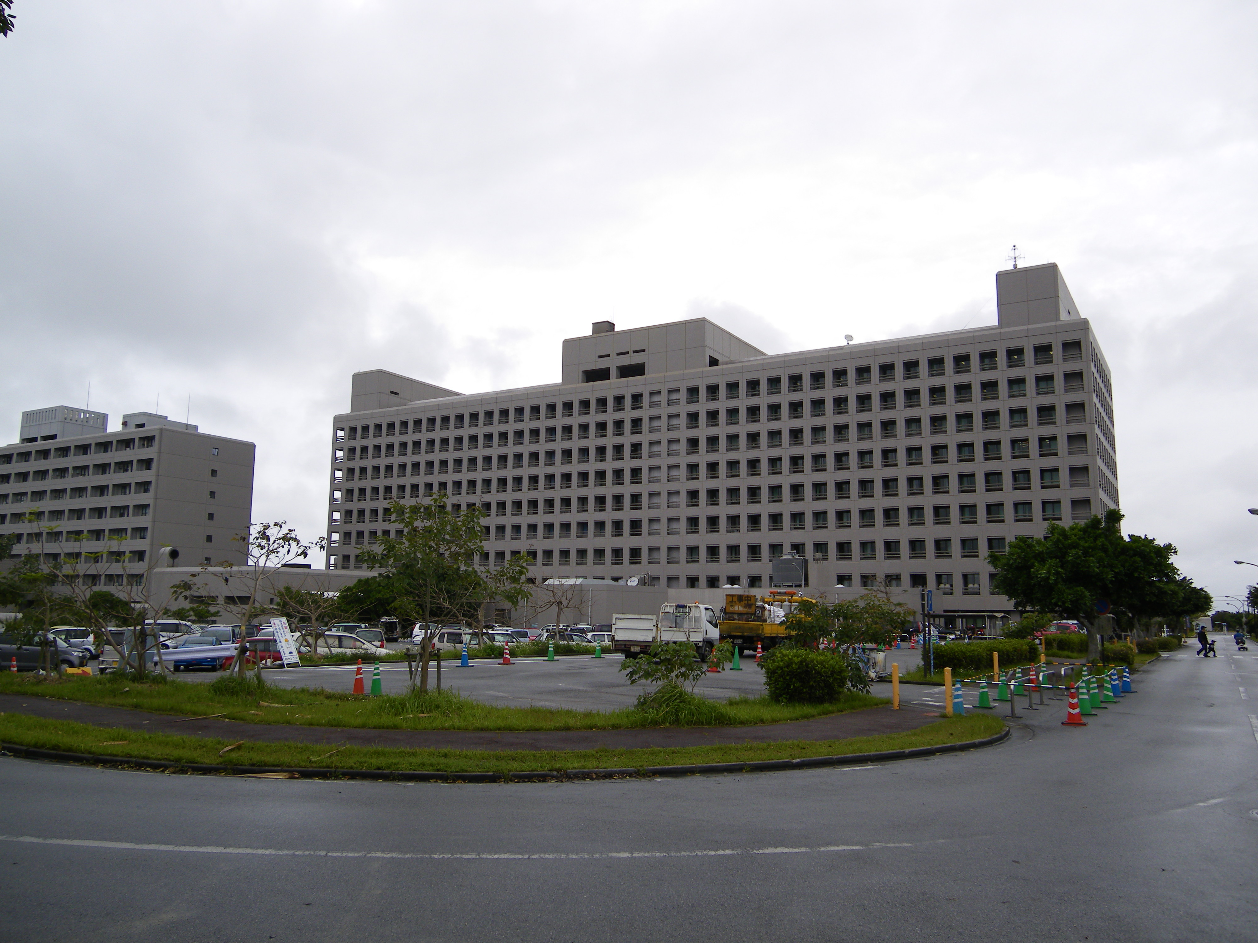 琉球大学 画像 - 琉球大学 熱帯医学研究会公式ホームページ