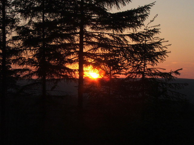 File:Sunset in Cropton Forest. - geograph.org.uk - 185117.jpg