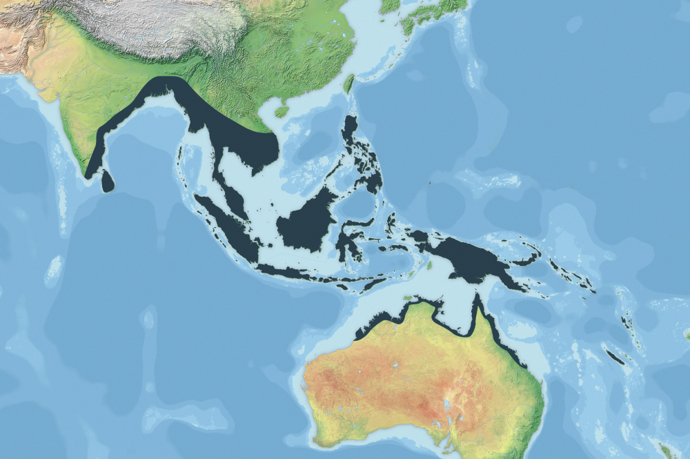 saltwater crocodile habitat map