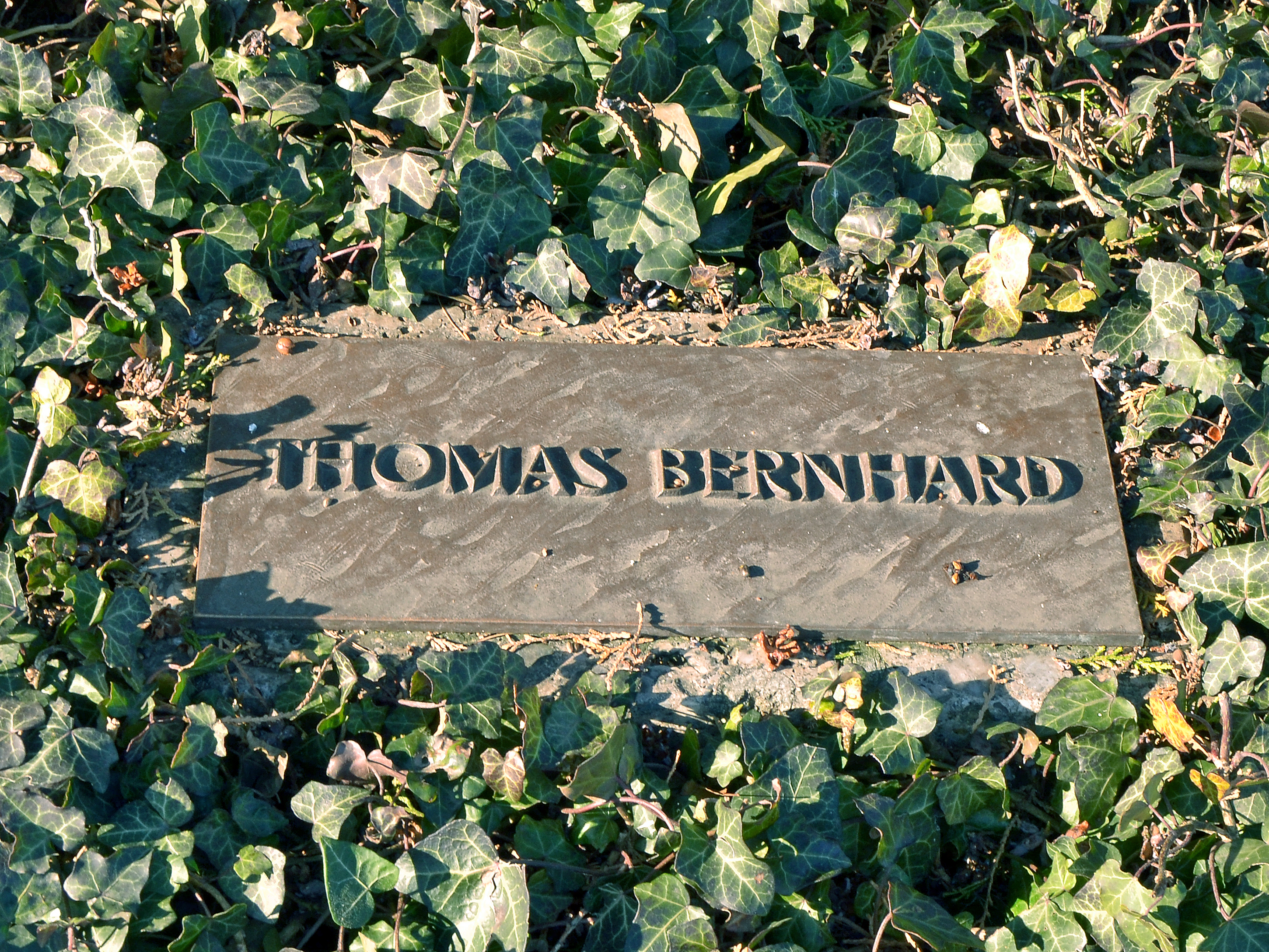 Thomas bernhard