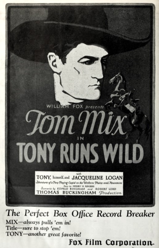 Tony Runs Wild - Wikipedia