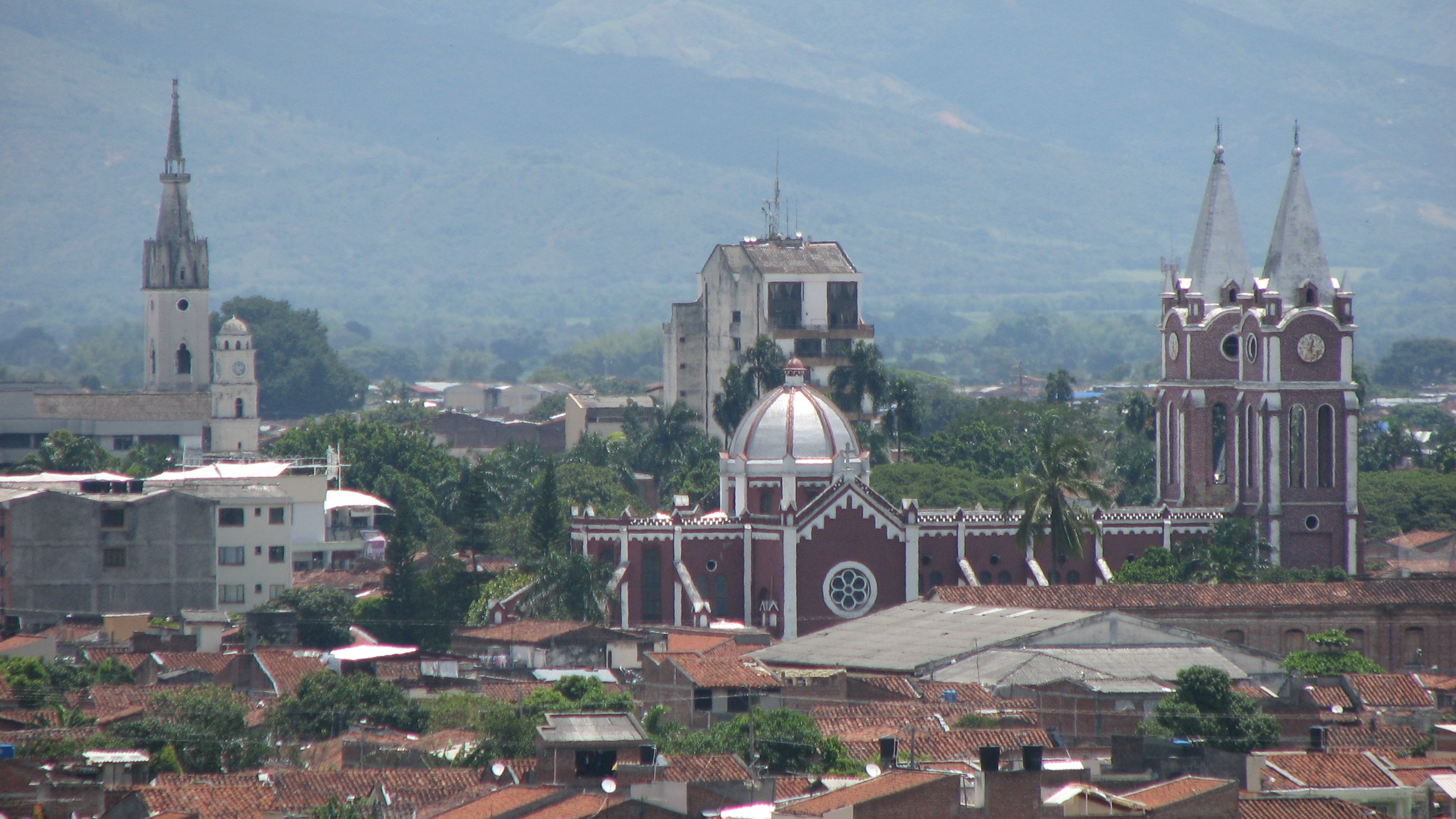 Universidad del Valle Sede Tuluá - Tuluá, Valle del Cauca, Colombia, Perfil profesional