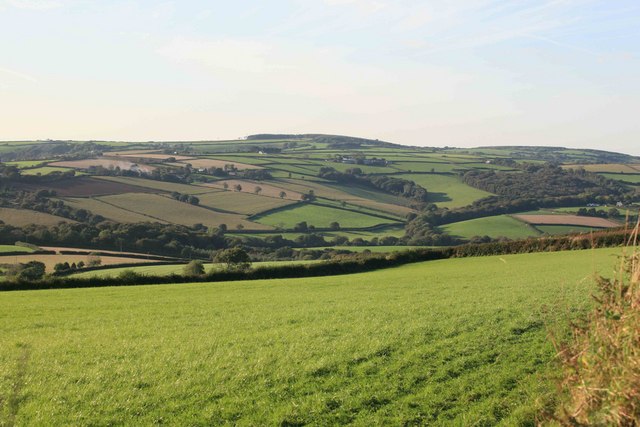 File:View over the hedge - geograph.org.uk - 1551223.jpg