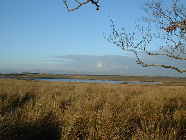 File:View to Roughrigg Reservoir - geograph.org.uk - 1109057.jpg