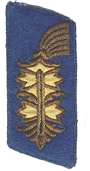 File:Wehrmacht collar patche of the administrative General.jpg