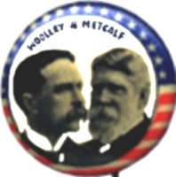 Henry B. Metcalf American politician