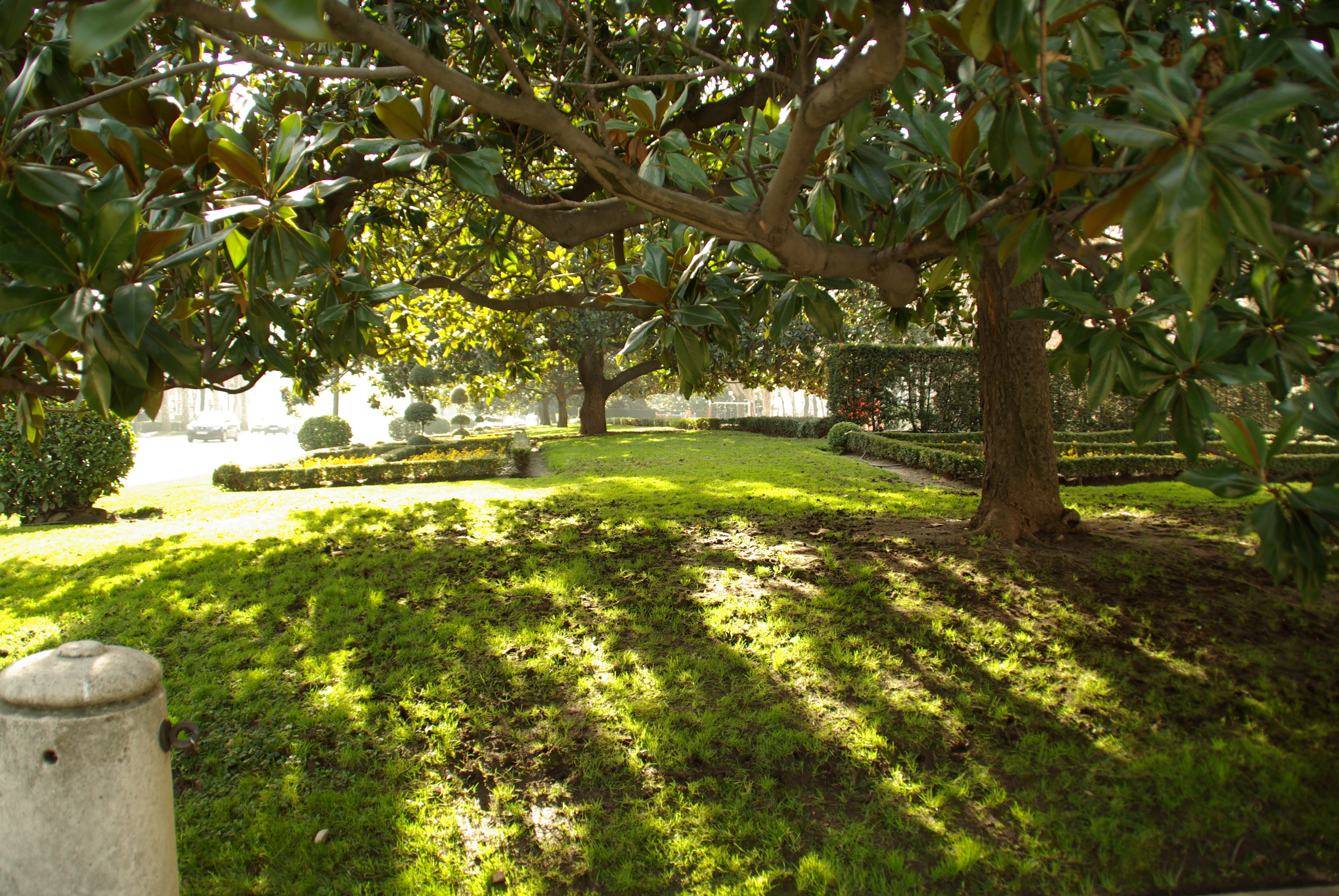 Ресторан paseo del prado