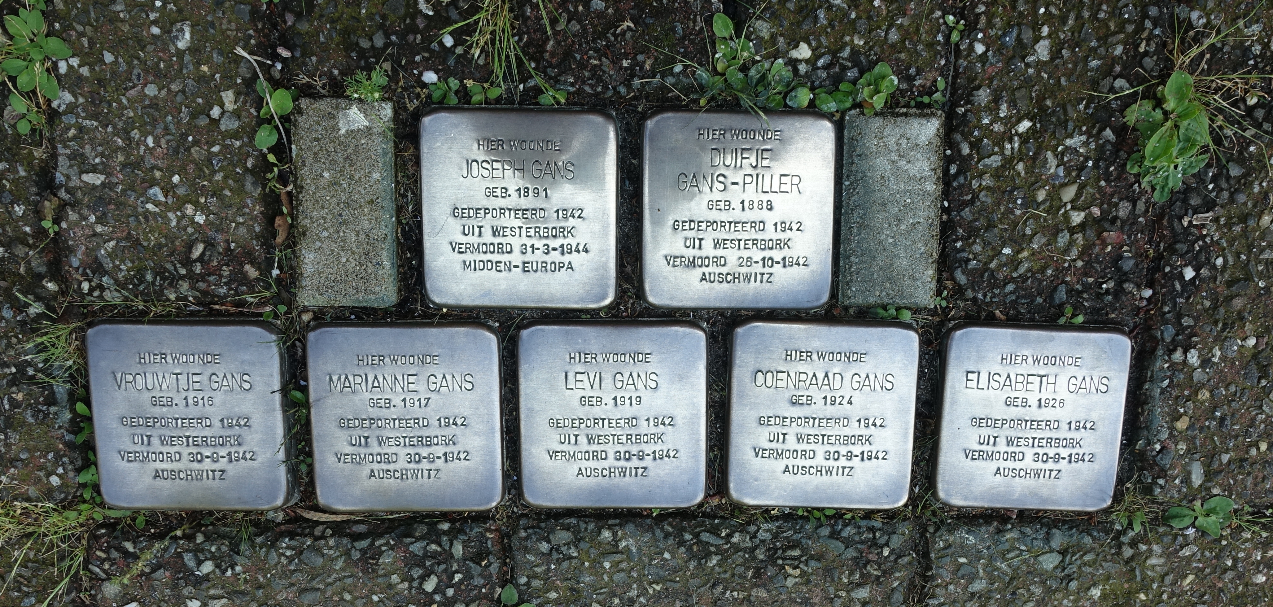 File:20190614 Stolpersteine Bodegraven after cleaning 03.jpg - Wikimedia  Commons