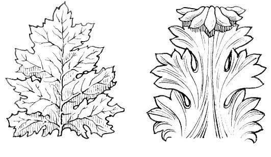 File:Acanthus (PSF).jpg