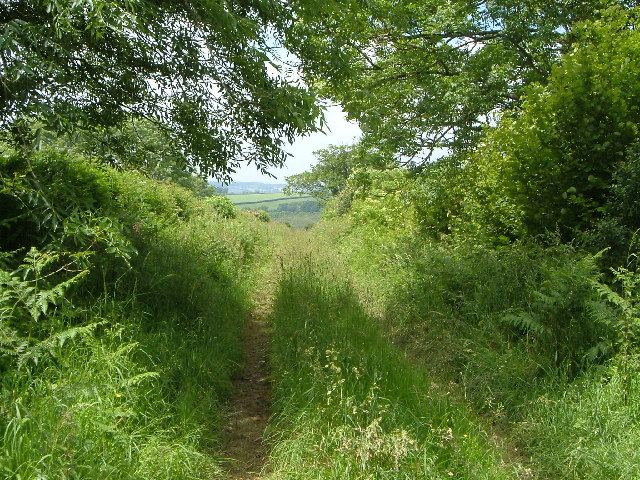 File:Belcombe Drove - geograph.org.uk - 125928.jpg