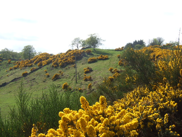 Bluff above Cowie Water - geograph.org.uk - 810275