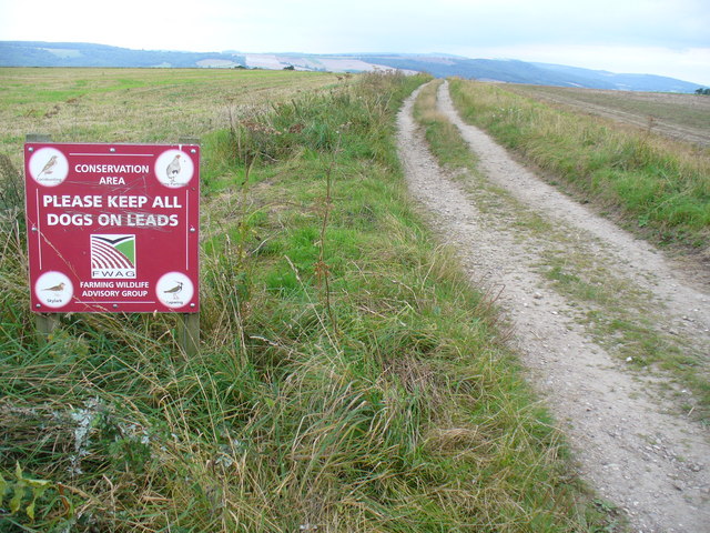 File:Bridleway near Amberley - geograph.org.uk - 547997.jpg