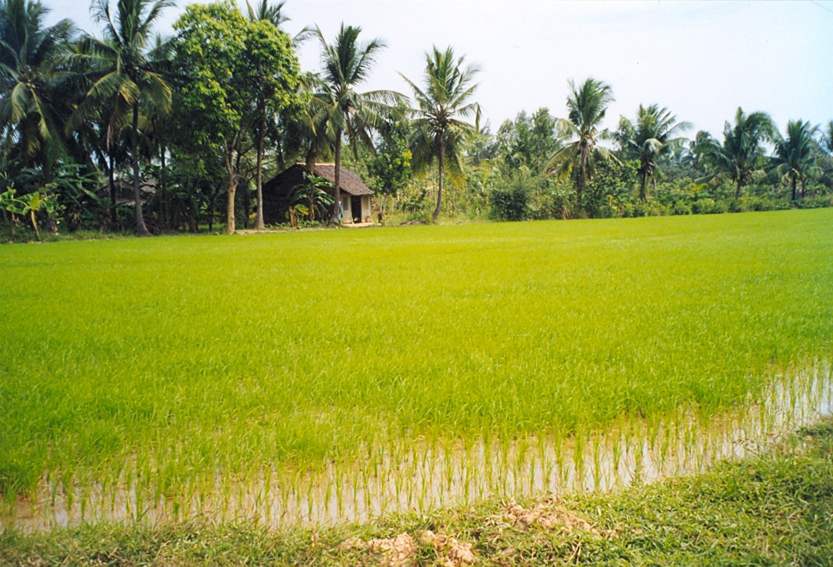 Bến Tre province - Wikipedia