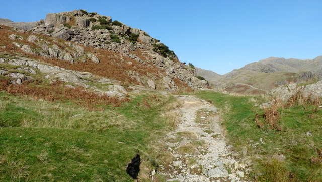 Crowberry Haws, Coniston - geograph.org.uk - 1542976