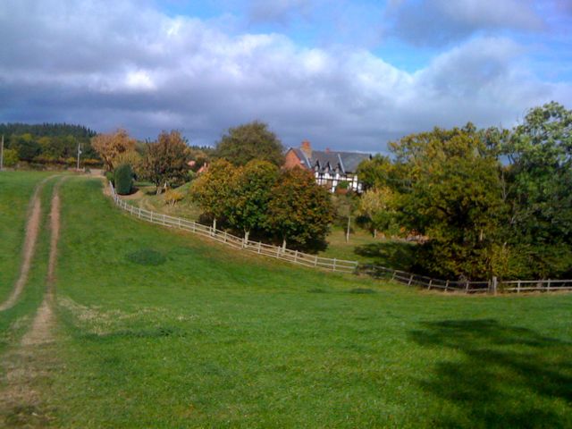 File:Didley Motte - geograph.org.uk - 1534388.jpg