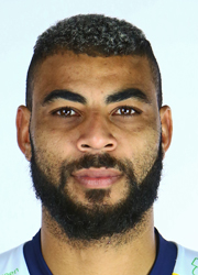 Illusztráló kép a cikkről Earvin Ngapeth