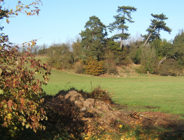 File:Field and trees near Witnesham - geograph.org.uk - 607669.jpg