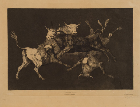 File:Francisco Goya. Bulls.jpg