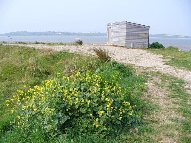 File:Hide at Oare Marshes - geograph.org.uk - 421065.jpg