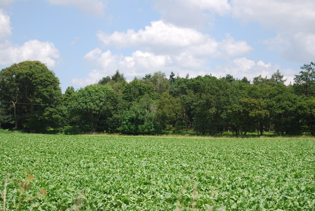 File:Holbrook Park - geograph.org.uk - 4161178.jpg