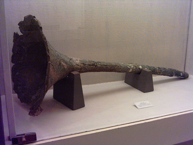 Fichier:Karna-Persian-Instrument-Persepolis-Museum.JPG