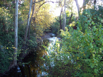 File:Little Chico Creek.jpg