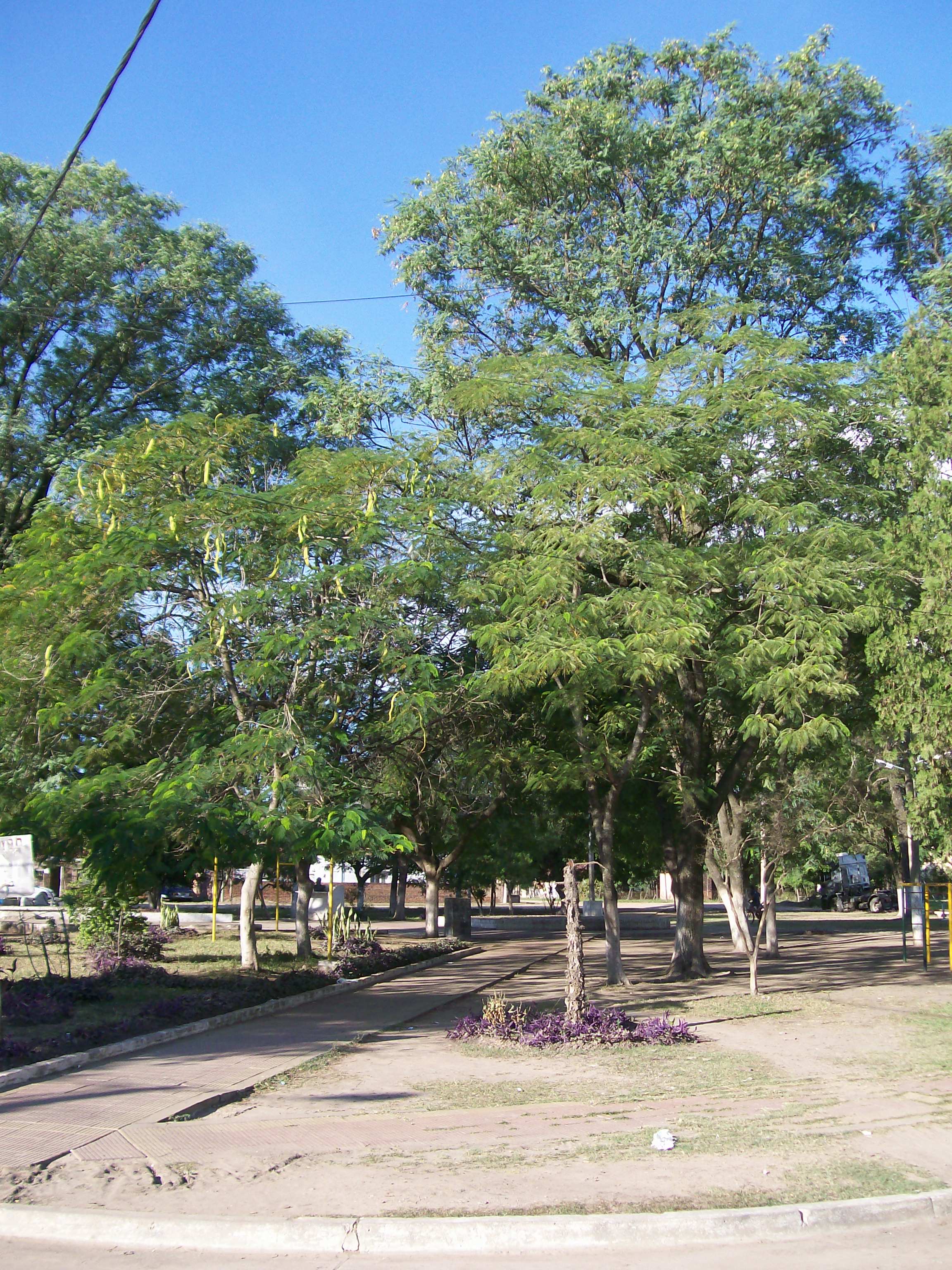 File Main square in Fontana Chaco from the West.jpg Wikimedia